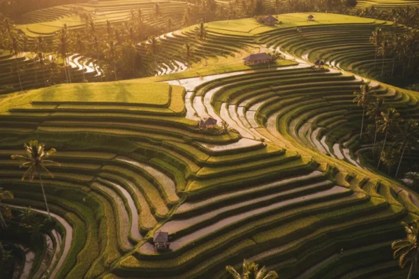 Best Time to Visit Bali | Bali Fast Track Airport